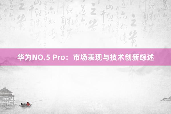 华为NO.5 Pro：市场表现与技术创新综述